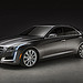 2014 Cadillac CTS 18