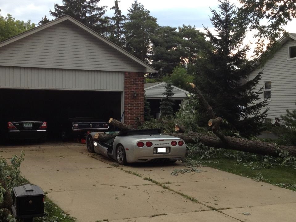 Tree Fallen on Corvette Total Loss