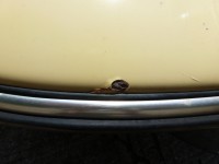1964-Porsche (32)