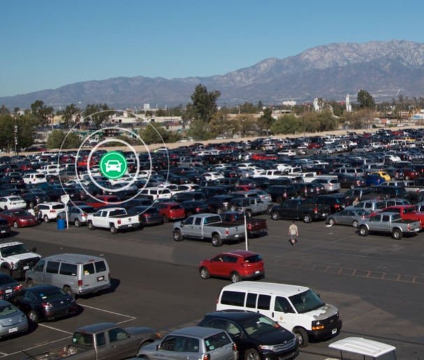 There are currently 127,310 vehicles offered for sale on by Manheim dealer auctions in the US.