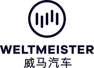 Weltmeister_Logo